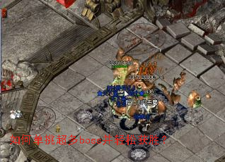 ��ε�������boss�����ɻ�ʤ��
