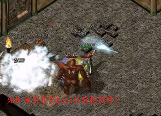 ��ε�������boss�����ɻ�ʤ��