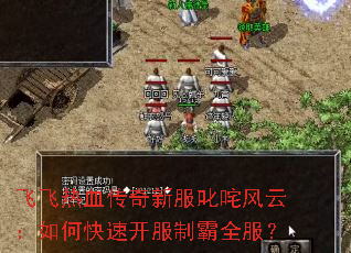 飞飞热血传奇新服叱咤风云:如何快速开服制霸全服? 飞飞热血传奇新服叱咤风云:如何快速开服制霸全服?