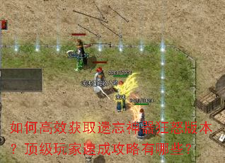 如何高效获取遗忘神器狂怒版本?顶级玩家速成攻略有哪些? 如何高效获取遗忘神器狂怒版本?顶级玩家速成攻略有哪些?