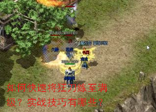 如何快速将狂刀练至满级?实战技巧有哪些? 如何快速将狂刀练至满级?实战技巧有哪些?