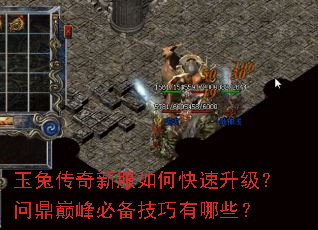 玉兔传奇新服如何快速升级?问鼎巅峰必备技巧有哪些? 玉兔传奇新服如何快速升级?问鼎巅峰必备技巧有哪些?