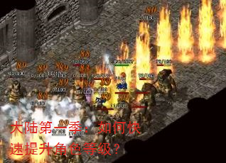 大陆第一季:如何快速提升角色等级? 大陆第一季:如何快速提升角色等级?