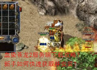 血染苍龙2服务端下载攻略?新手如何快速获取并安装? 血染苍龙2服务端下载攻略?新手如何快速获取并安装?