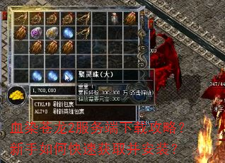 血染苍龙2服务端下载攻略?新手如何快速获取并安装? 血染苍龙2服务端下载攻略?新手如何快速获取并安装?