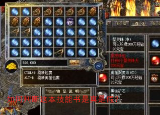 如何判断这本技能书是真是假? 如何判断这本技能书是真是假?