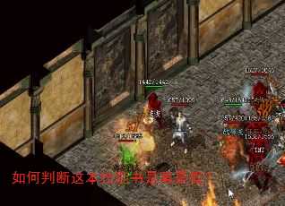 如何判断这本技能书是真是假? 如何判断这本技能书是真是假?