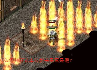 如何判断这本技能书是真是假? 如何判断这本技能书是真是假?