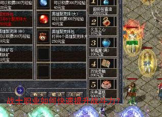 战士职业如何快速提升战斗力? 战士职业如何快速提升战斗力?
