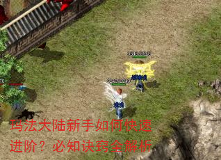 玛法大陆新手如何快速进阶?必知诀窍全解析 玛法大陆新手如何快速进阶?必知诀窍全解析