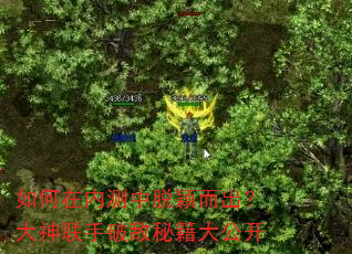 如何在内测中脱颖而出?大神联手破敌秘籍大公开 如何在内测中脱颖而出?大神联手破敌秘籍大公开