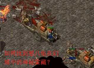 如何找到憨八龟在幻城中的神秘宝藏? 如何找到憨八龟在幻城中的神秘宝藏?