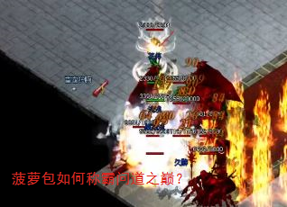 菠萝包如何称霸问道之巅? 菠萝包如何称霸问道之巅?