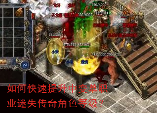 如何快速提升中变单职业迷失传奇角色等级? 如何快速提升中变单职业迷失传奇角色等级?
