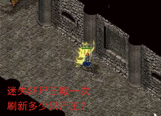 ��ʧSFʬ����һ��ˢ�¶���ֻʬ����