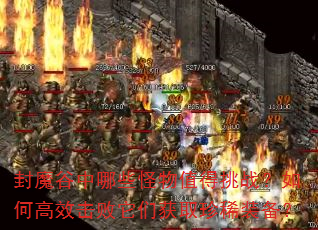 ��ħ������Щ����ֵ����ս����θ�Ч�������ǻ�ȡ��ϡװ����