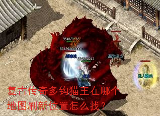 ���Ŵ���๳è�����ĸ���ͼˢ��λ����ô�ң�