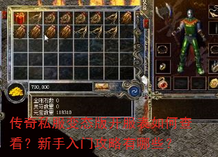 ����˽����̬�濪������β鿴���������Ź�������Щ��