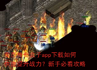 变态传奇盒子app下载如何快速提升战力?新手必看攻略 变态传奇盒子app下载如何快速提升战力?新手必看攻略