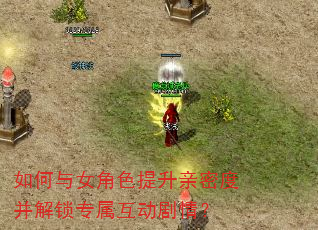�����Ů��ɫ�������ܶȲ�����ר���������飿