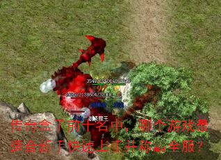 �������ǰʮ���У��ĸ���Ϸ���ʺ����ֿ������ֲ��ư�ȫ����