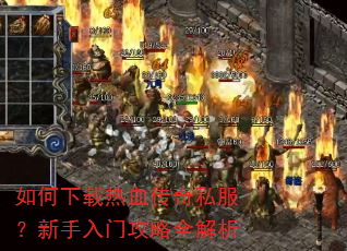 ���������Ѫ����˽�����������Ź���ȫ����