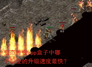 ��̬����app�������ĸ�ְҵ�������ٶ���죿
