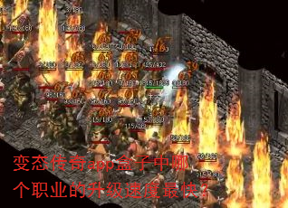 ��̬����app�������ĸ�ְҵ�������ٶ���죿