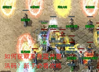 如何获取至尊蓝月激活码?新手必看攻略 如何获取至尊蓝月激活码?新手必看攻略