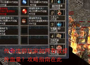 ���淨ʦ��������Ч����Ѫ��������ָ���ڴ�