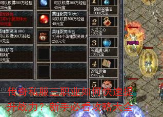 传奇私服三职业如何快速提升战力?新手必看攻略大全 传奇私服三职业如何快速提升战力?新手必看攻略大全