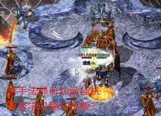 新手法师前20级挂机适合学习哪些技能? 新手法师前20级挂机适合学习哪些技能?