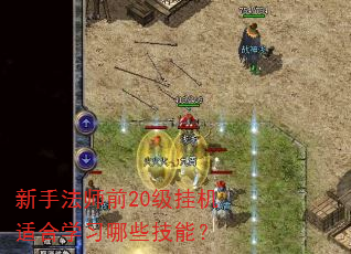 新手法师前20级挂机适合学习哪些技能? 新手法师前20级挂机适合学习哪些技能?