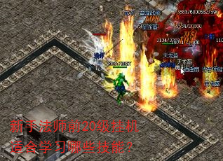 新手法师前20级挂机适合学习哪些技能? 新手法师前20级挂机适合学习哪些技能?