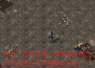 新开千年私服网:传奇游戏如何快速升级与获取极品装备? 新开千年私服网:传奇游戏如何快速升级与获取极品装备?