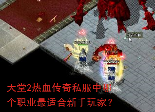 ����2��Ѫ����˽�����ĸ�ְҵ���ʺ�������ң�