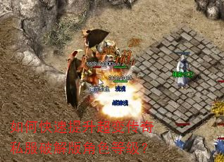 如何快速提升超变传奇私服破解版角色等级? 如何快速提升超变传奇私服破解版角色等级?