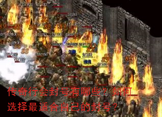 �����л�������Щ�����ѡ�����ʺ��Լ��ķ�ţ�