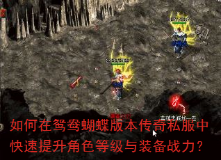 如何在鸳鸯蝴蝶版本传奇私服中快速提升角色等级与装备战力? 如何在鸳鸯蝴蝶版本传奇私服中快速提升角色等级与装备战力?
