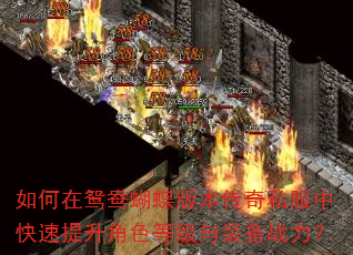 如何在鸳鸯蝴蝶版本传奇私服中快速提升角色等级与装备战力? 如何在鸳鸯蝴蝶版本传奇私服中快速提升角色等级与装备战力?