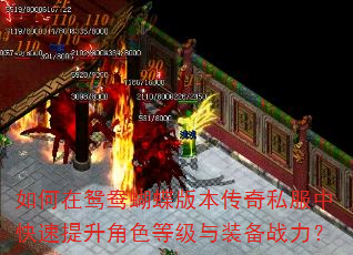 如何在鸳鸯蝴蝶版本传奇私服中快速提升角色等级与装备战力? 如何在鸳鸯蝴蝶版本传奇私服中快速提升角色等级与装备战力?