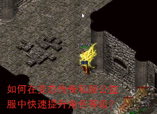 如何在变态传奇私服公益服中快速提升角色等级? 如何在变态传奇私服公益服中快速提升角色等级?