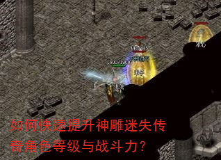 如何快速提升神雕迷失传奇角色等级与战斗力? 如何快速提升神雕迷失传奇角色等级与战斗力?