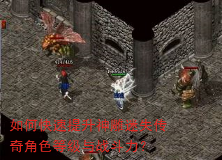 如何快速提升神雕迷失传奇角色等级与战斗力? 如何快速提升神雕迷失传奇角色等级与战斗力?
