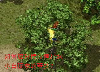 如何应对传奇僵尸洞小白玩家的噩梦? 如何应对传奇僵尸洞小白玩家的噩梦?