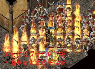如何快速提升角色等级?蘑菇脚本攻略全解析 如何快速提升角色等级?蘑菇脚本攻略全解析
