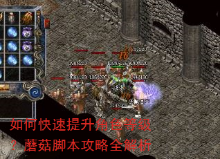 如何快速提升角色等级?蘑菇脚本攻略全解析 如何快速提升角色等级?蘑菇脚本攻略全解析