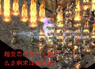 ����̬����ʬ������ô�߰�����ϸ���ԣ�