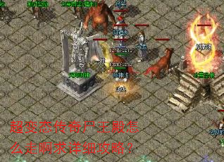 ����̬����ʬ������ô�߰�����ϸ���ԣ�