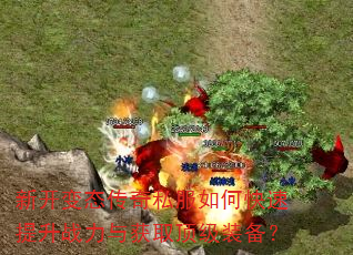 �¿���̬����˽����ο�������ս�����ȡ����װ����